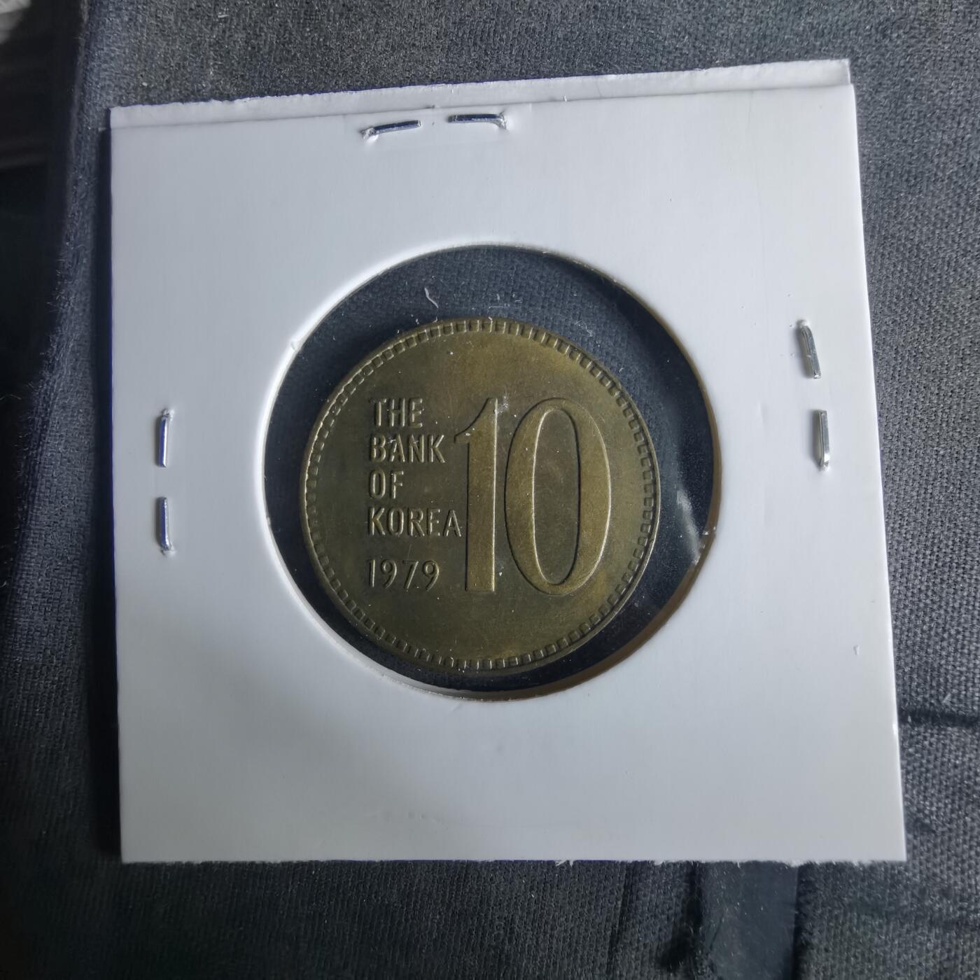 沼泽如烟--第1033场