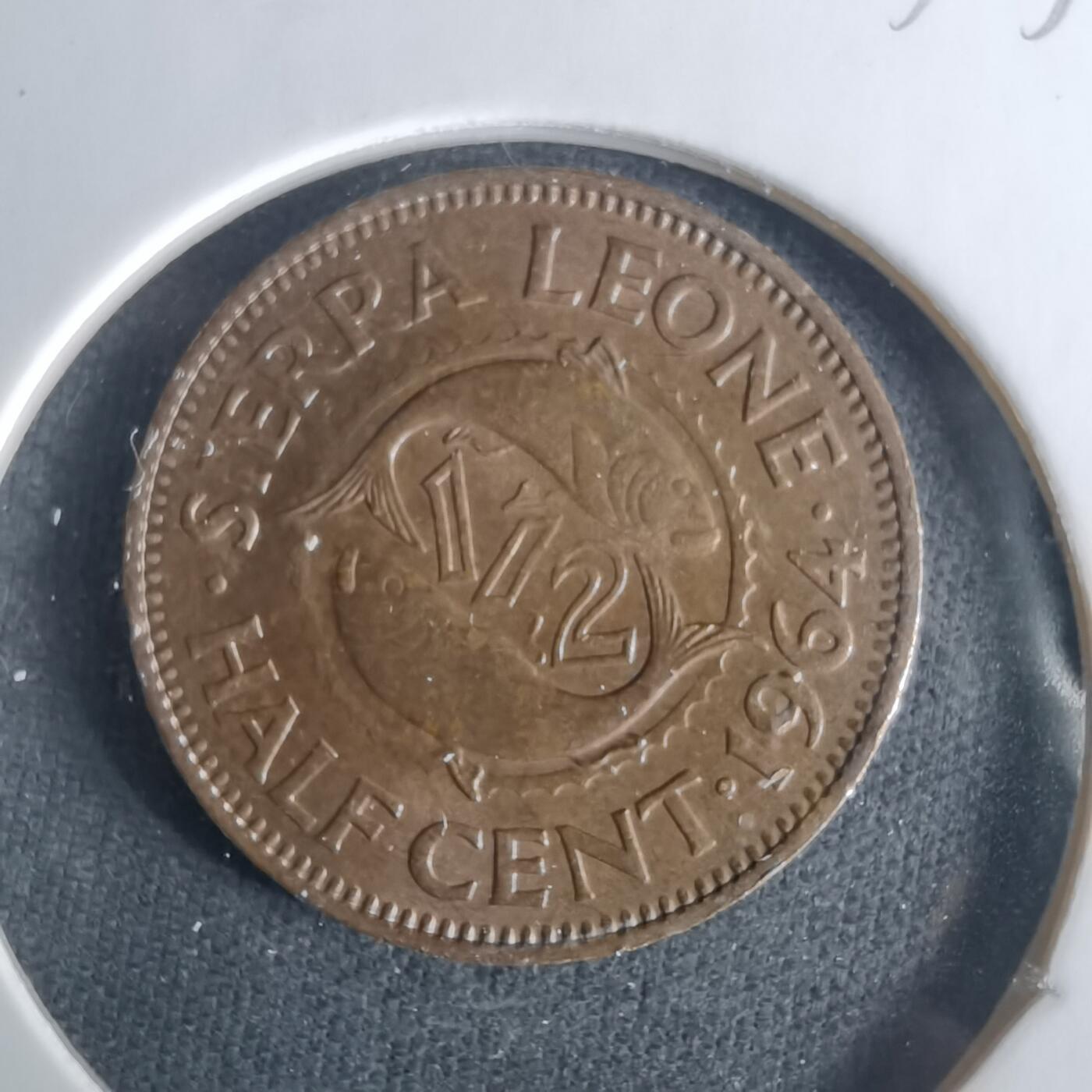 沼泽如烟--第1033场