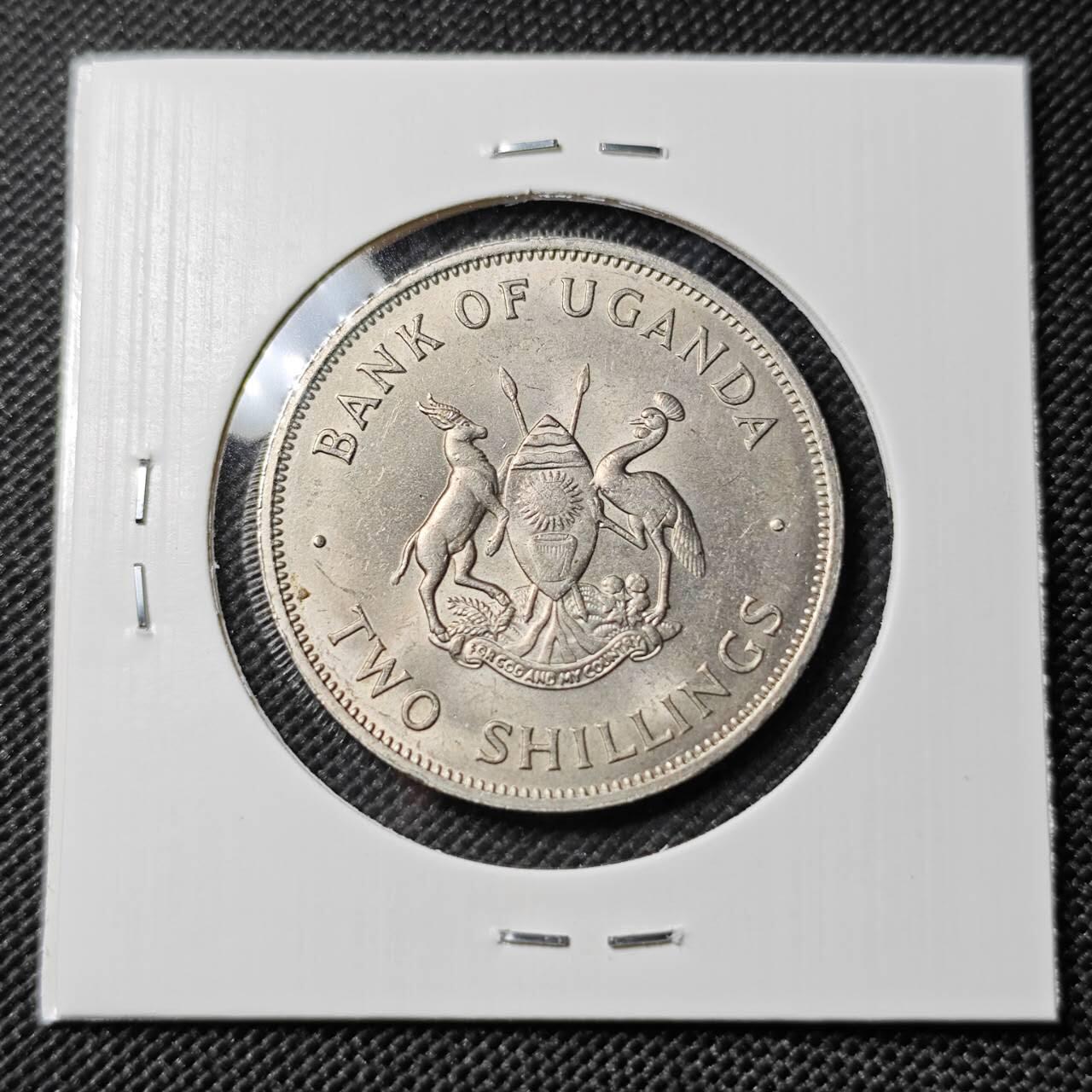 KK钱币收藏小铺   套币专场 2月预留时间 周末发货 1966乌干达2先令 好品 