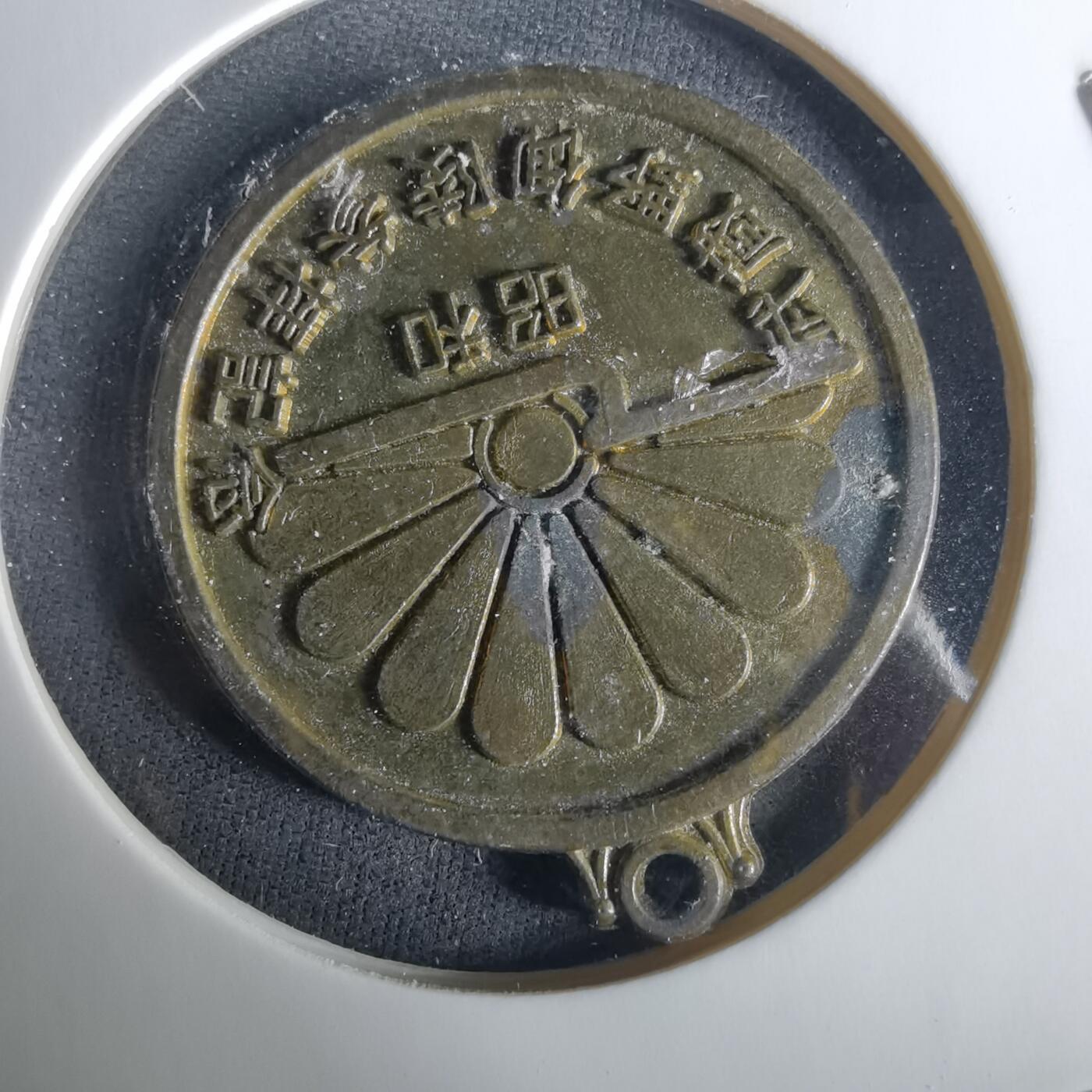 沼泽如烟--第1033场 纪念章