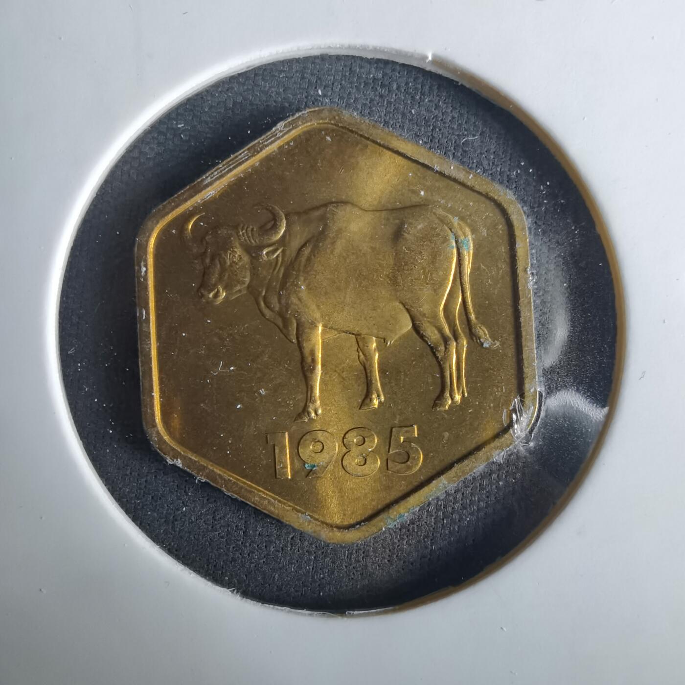 沼泽如烟--第1033场 1985年生肖牛