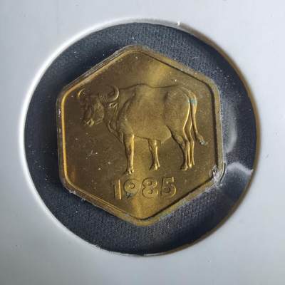 沼泽如烟--第1033场 - 1985年生肖牛