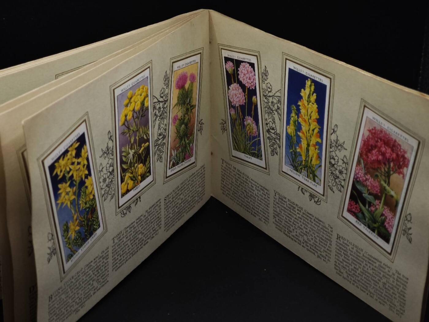  【淘币小摊】限时拍第八百八十四拍   纸币场    每周一统一发货 英国野生花朵50种介绍册