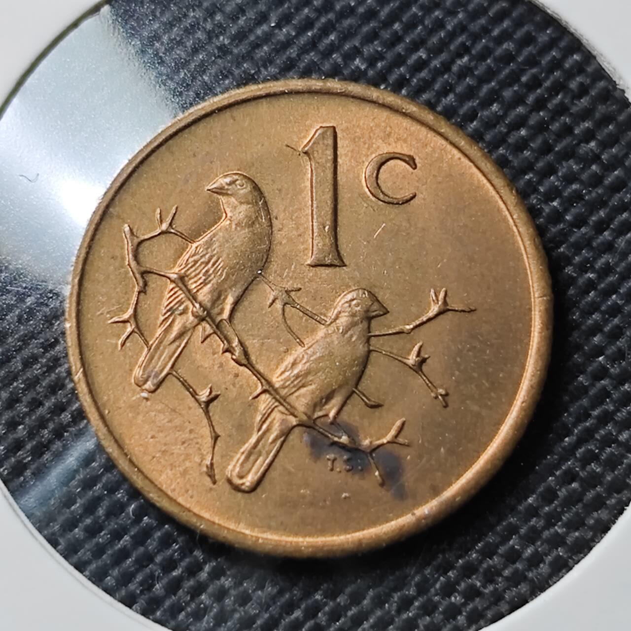 KK钱币收藏小铺   套币专场 2月预留时间 周末发货 1976南非1分 好品 