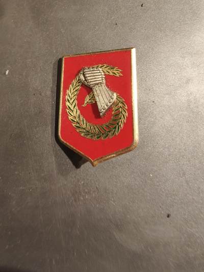 老王徽章第188期 - 法国陆军第6轻型装甲旅证章     该旅总部位于法国尼姆（Nîmes），是一支具有高火力和机动能力的部队
