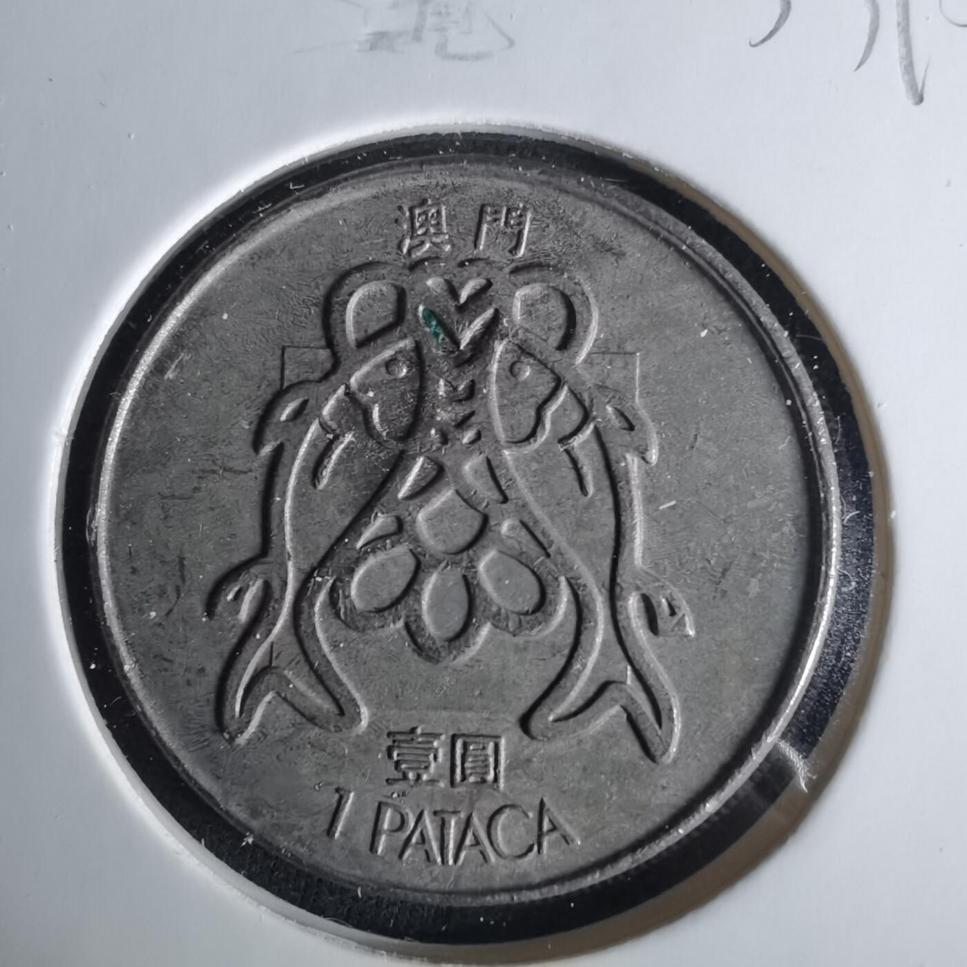 沼泽如烟--第1033场