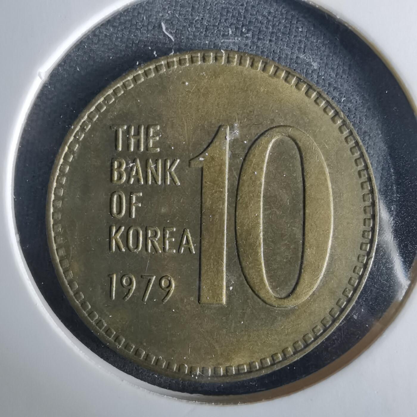 沼泽如烟--第1033场