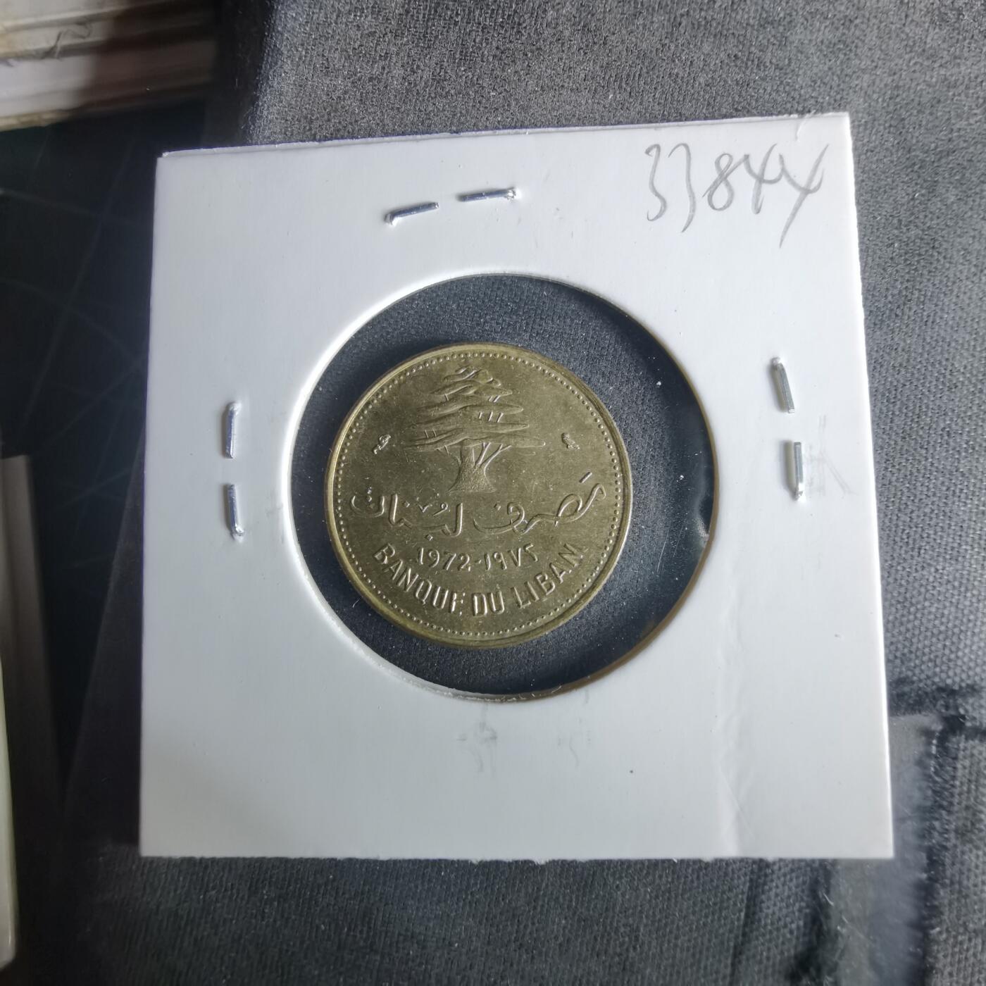 沼泽如烟--第1033场