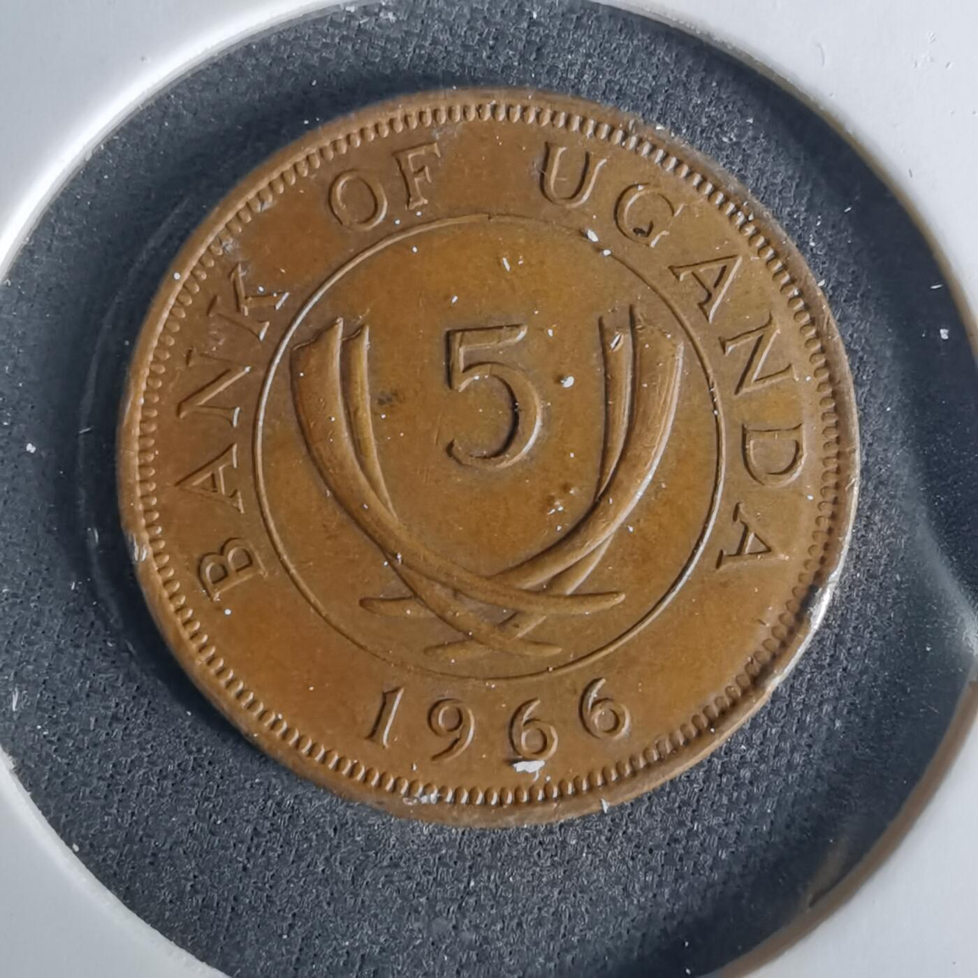 沼泽如烟--第1033场