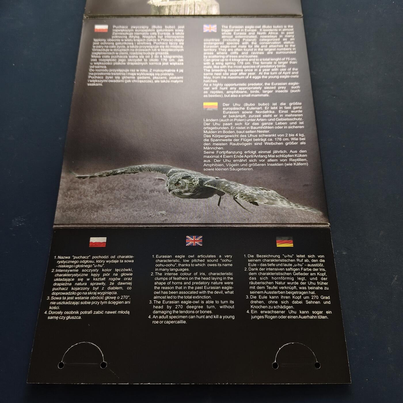 【全场包邮】纯粹捡漏拍515场 波兰2017年保护猫头鹰主题官方封装套币