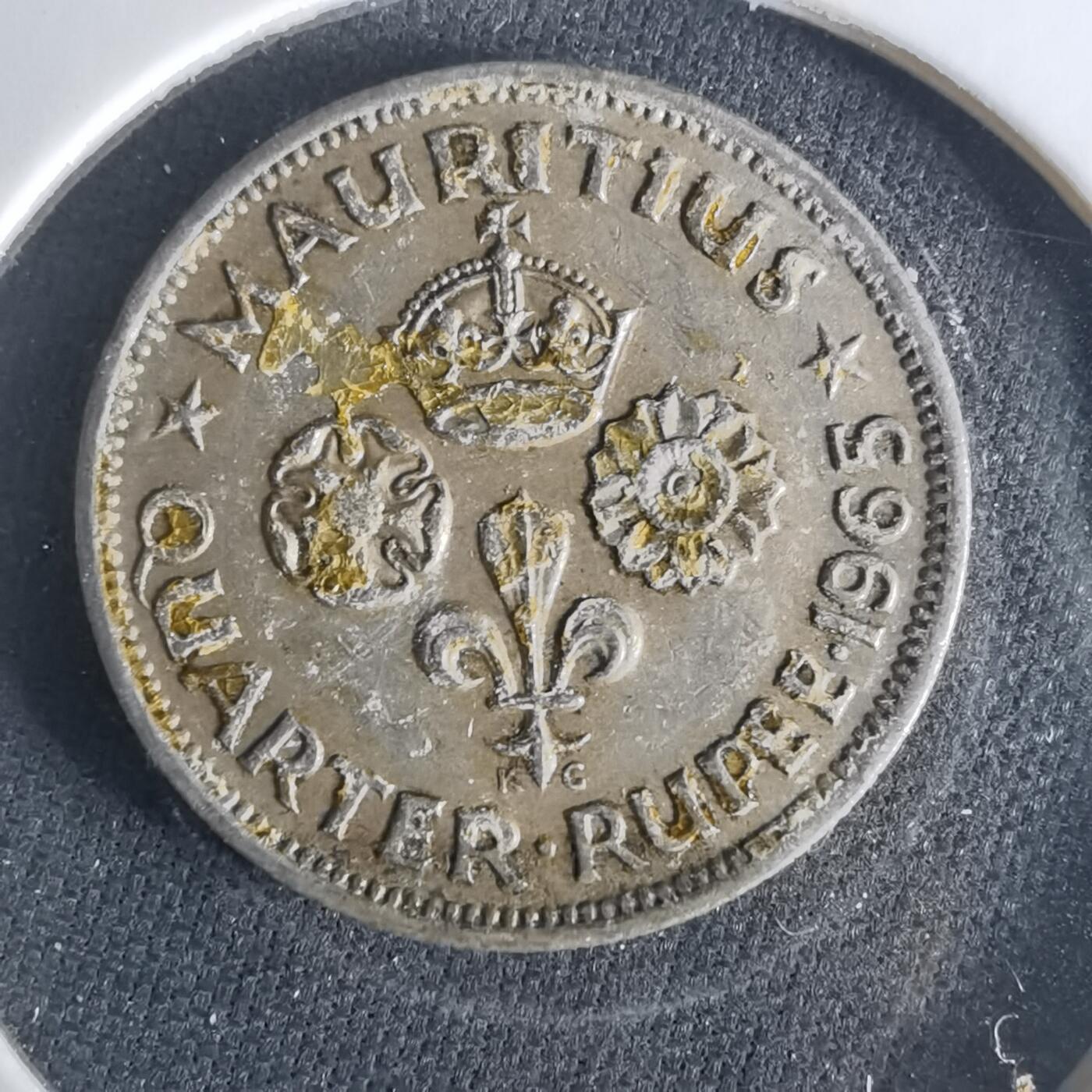 沼泽如烟--第1033场