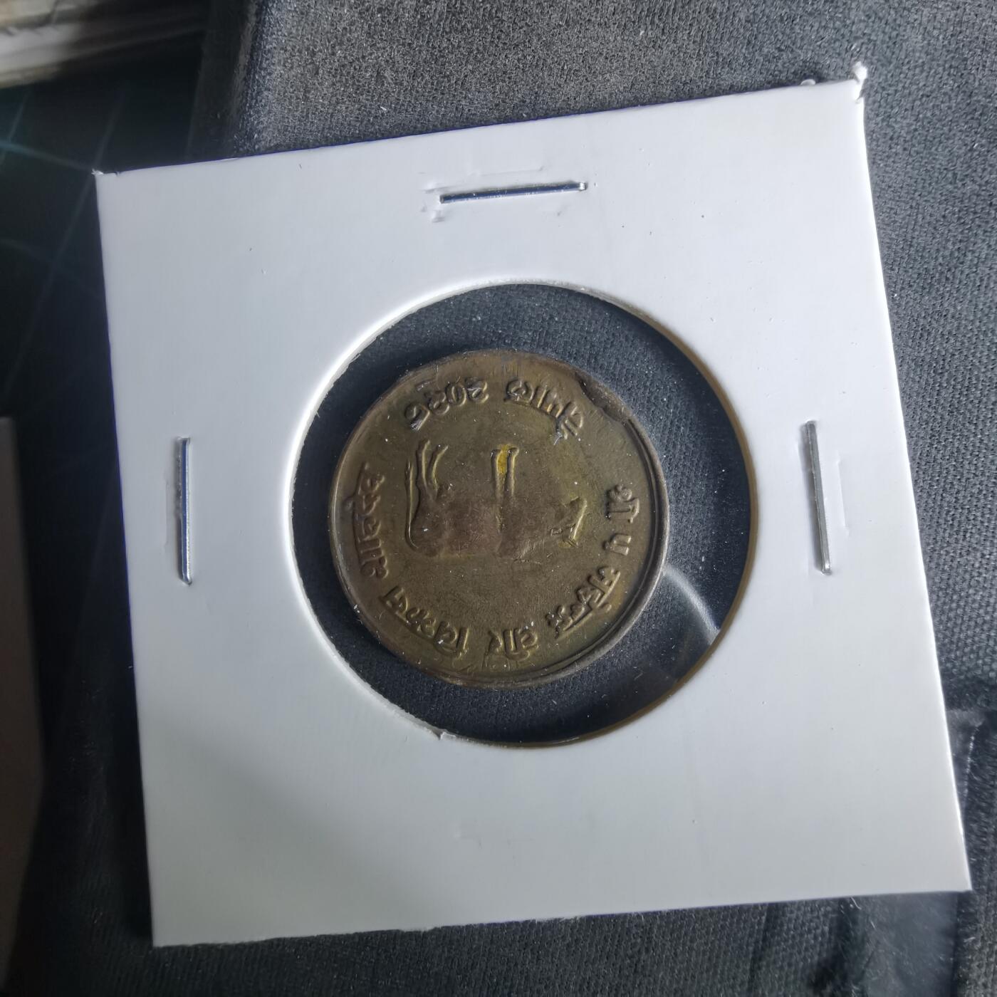 沼泽如烟--第1033场