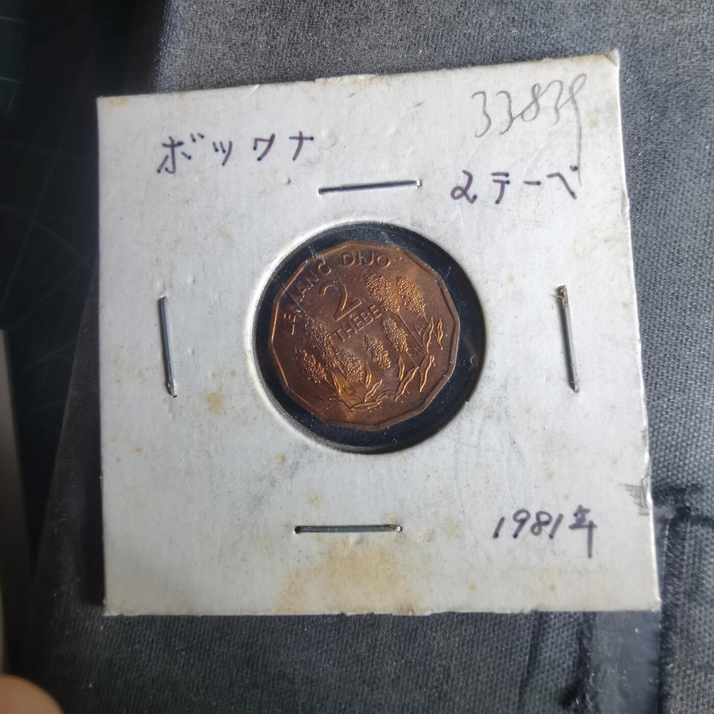 沼泽如烟--第1033场