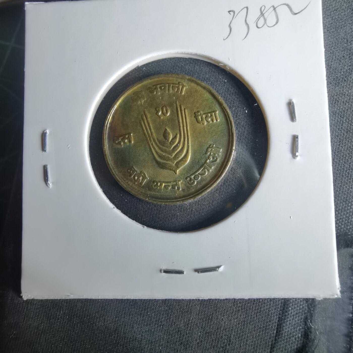 沼泽如烟--第1033场