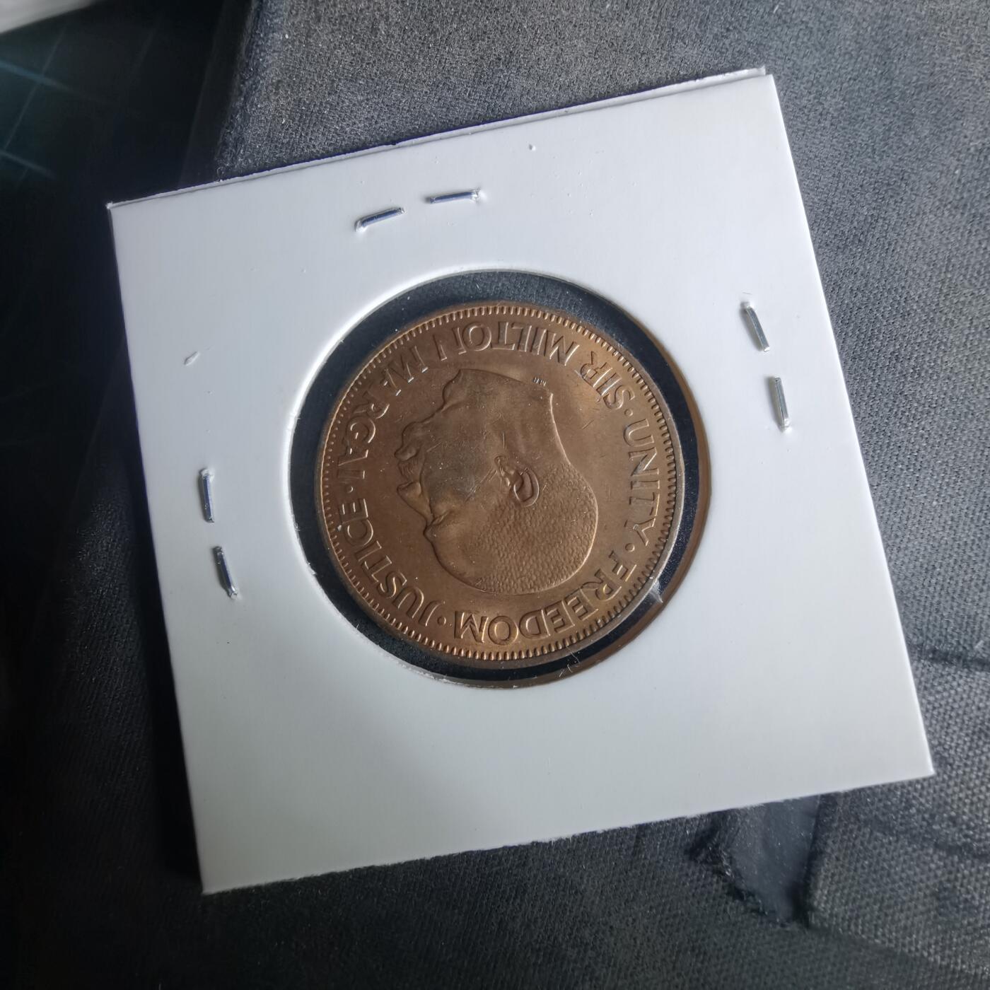 沼泽如烟--第1033场