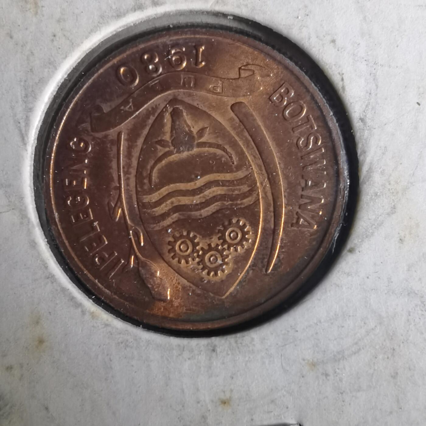 沼泽如烟--第1033场