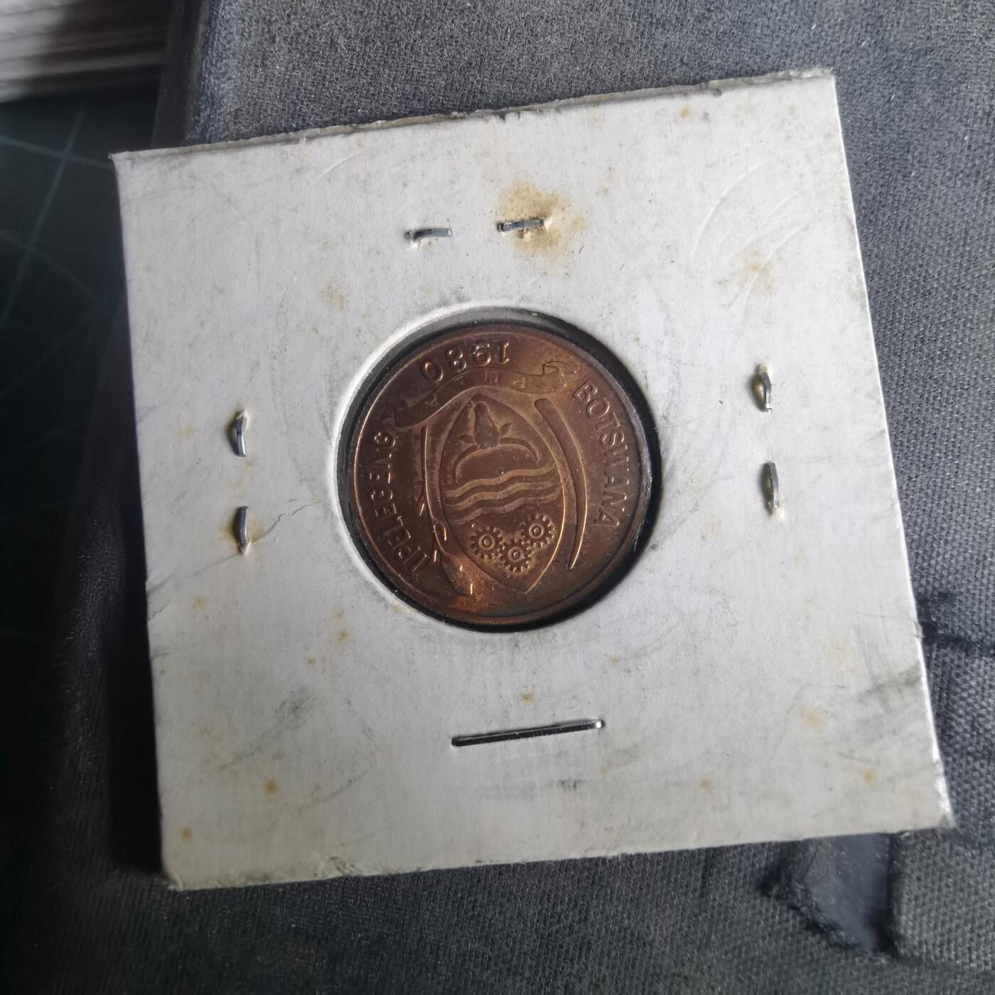 沼泽如烟--第1033场