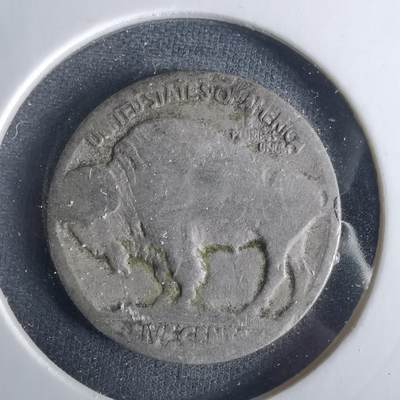 沼泽如烟--第1033场 - 美国野牛五分