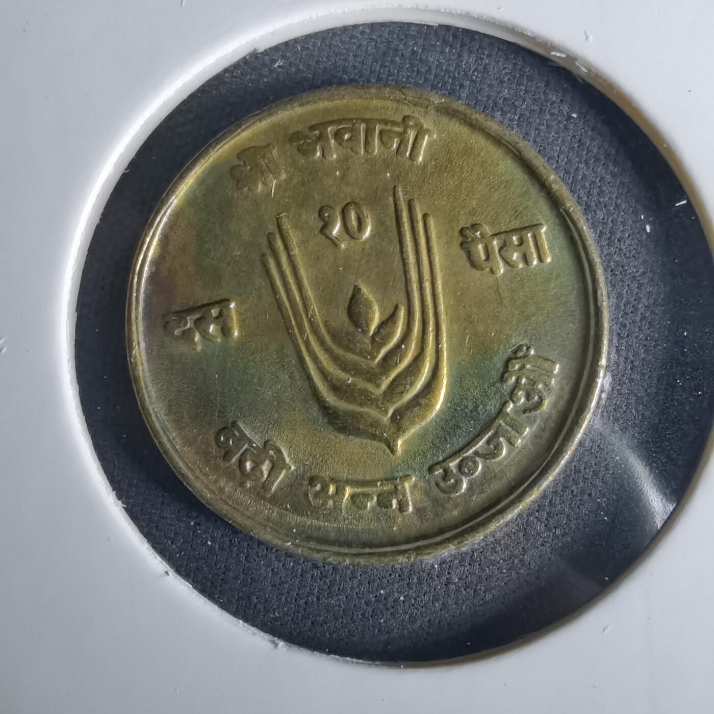 沼泽如烟--第1033场