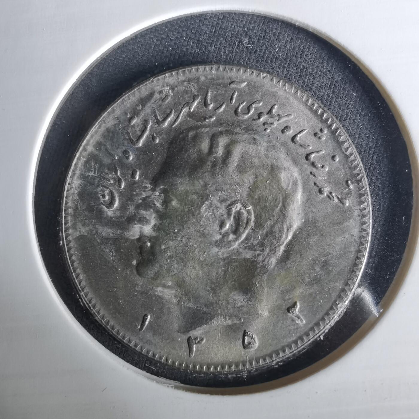 沼泽如烟--第1033场