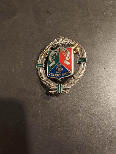 老王徽章第188期 - 法国外籍军团第1骑兵团证章