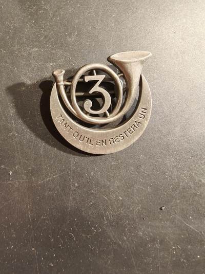 老王徽章第188期 - 法国陆军第3非洲猎骑兵团证章    该团成立于1833年，位于法国阿尔及利亚，直到1963年解散。 