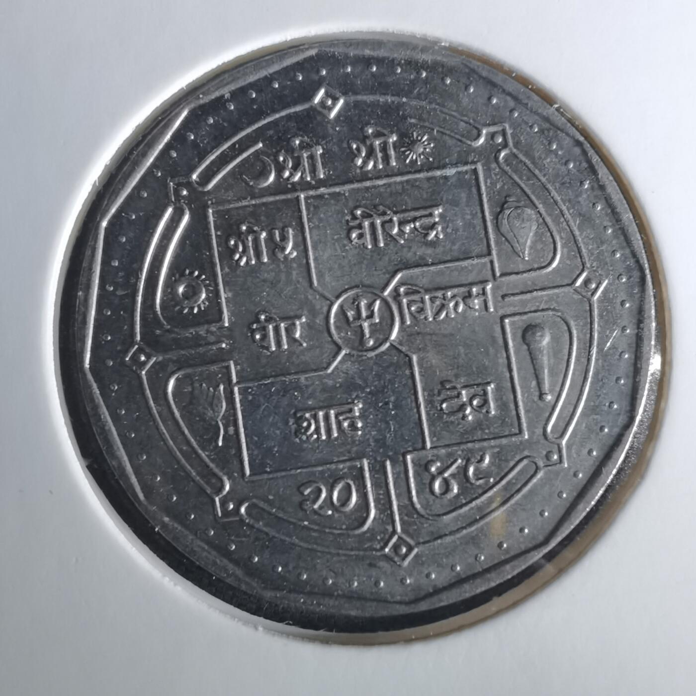 沼泽如烟--第1033场