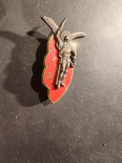 老王徽章第188期 - 法国陆军第9伞兵猎兵团证章