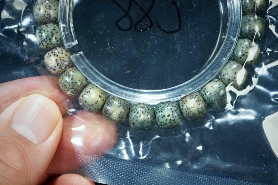 上海都达杂项专场五十八【全场包邮】  星月菩提老型珠手串93-232