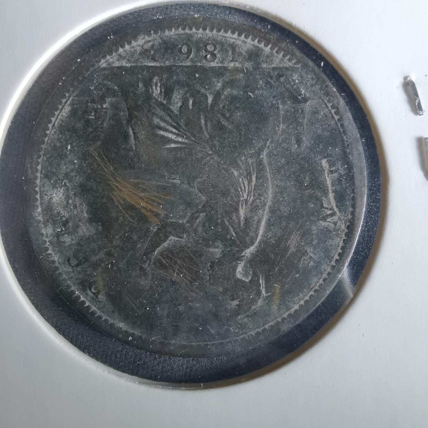 沼泽如烟--第1033场