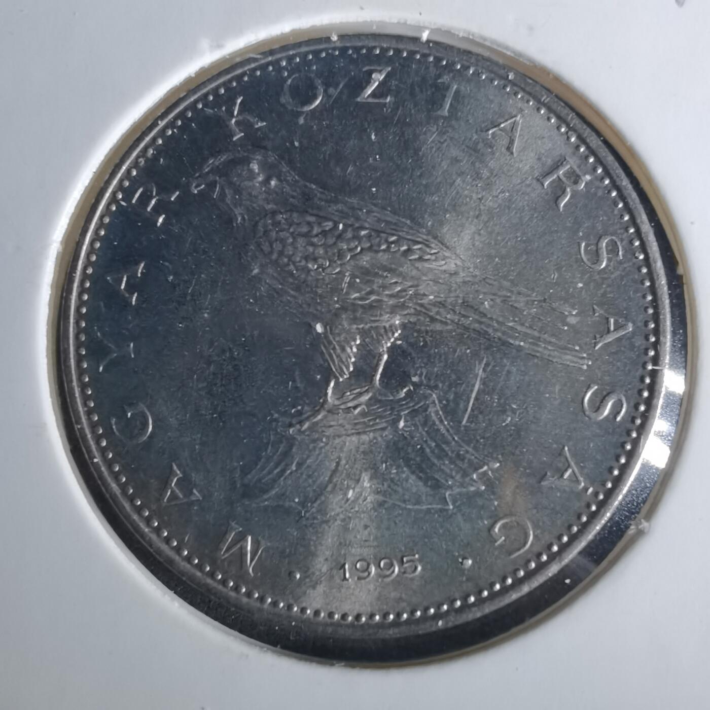 沼泽如烟--第1033场