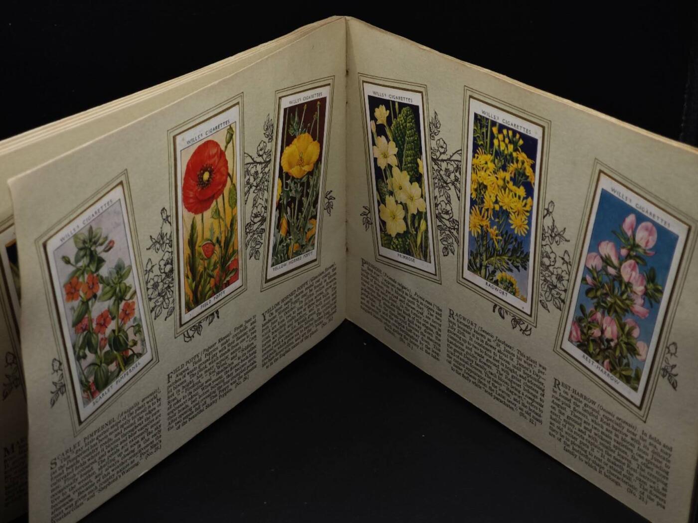  【淘币小摊】限时拍第八百八十四拍   纸币场    每周一统一发货 英国野生花朵50种介绍册