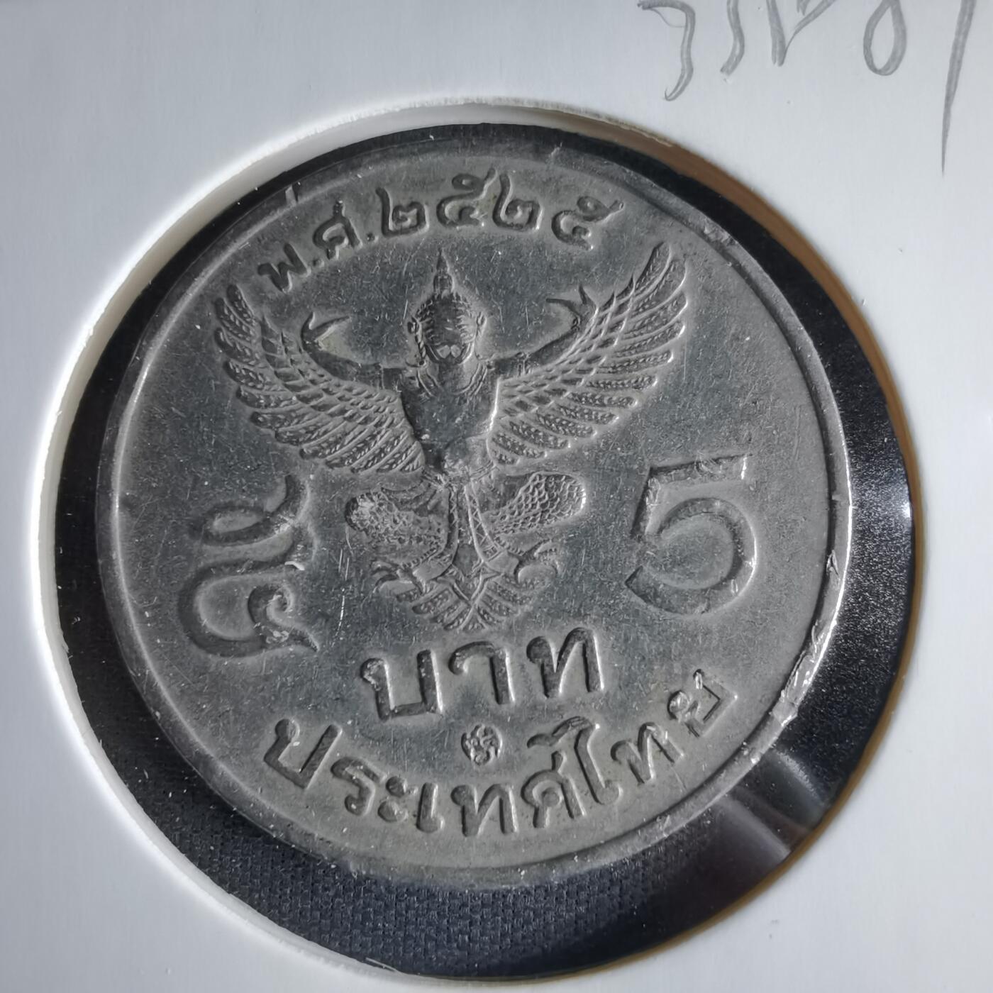 沼泽如烟--第1033场 泰国