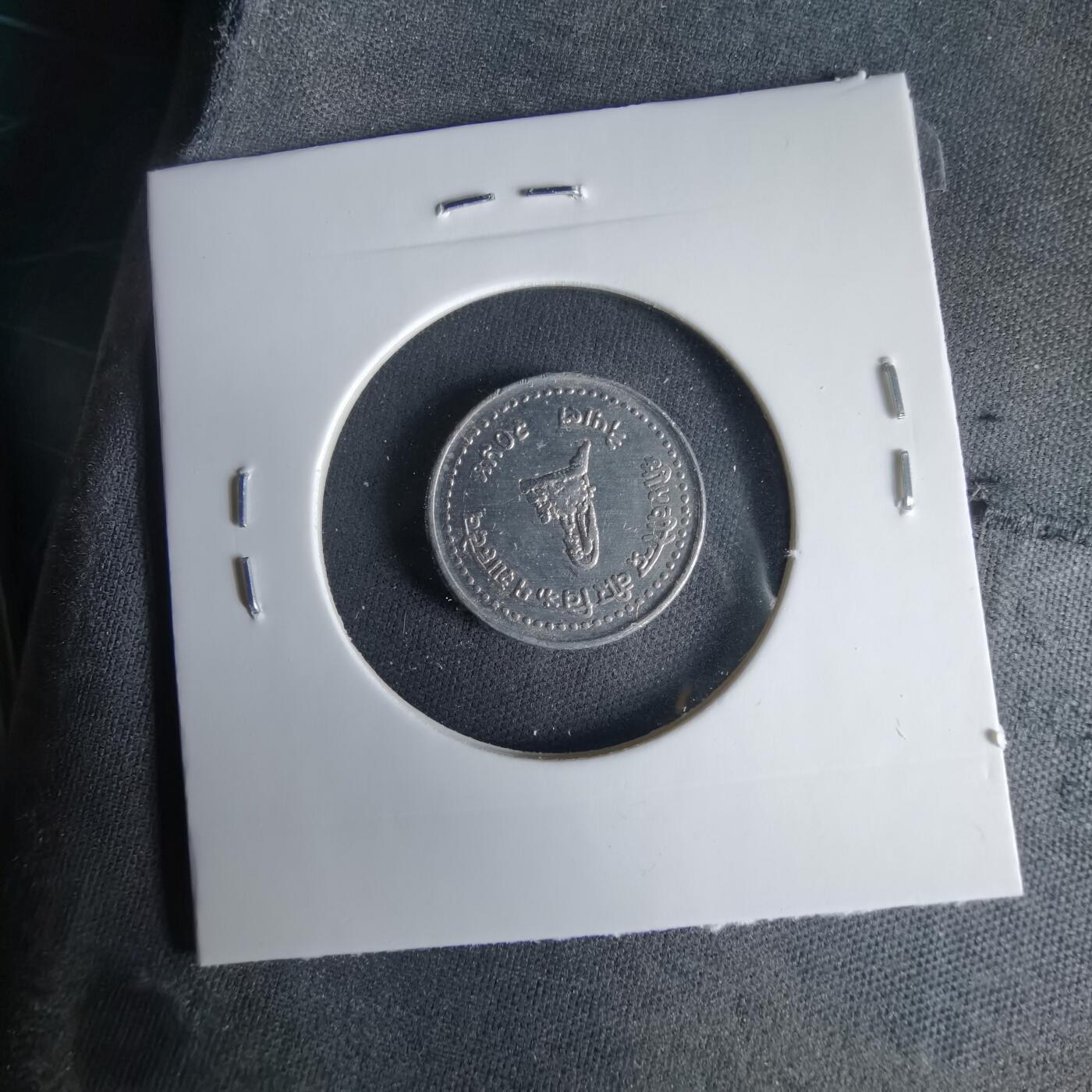 沼泽如烟--第1033场