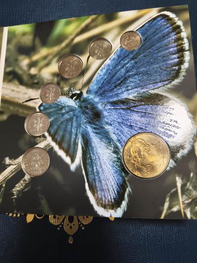 长老汇马年精选第十二场拍卖 - 2011波兰官方6枚硬币套装卡装，含1枚蓝蝴蝶金属章，稀少，ebay60美金