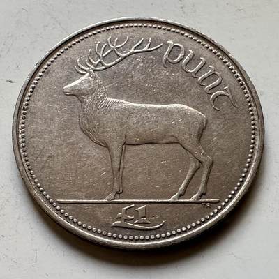 🌹外币初藏🌹🐯2026年第34场   每周二四六晚8️⃣点 接代拍 - 爱尔兰 1990年 1镑