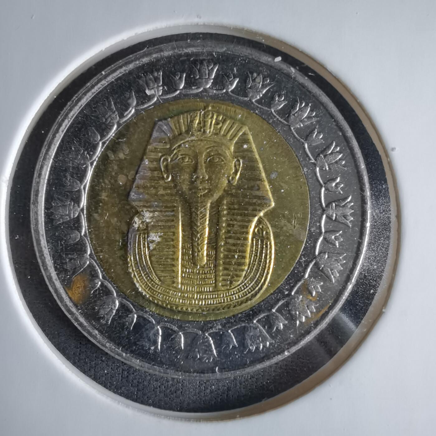 沼泽如烟--第1033场 埃及