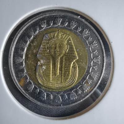 沼泽如烟--第1033场 - 埃及