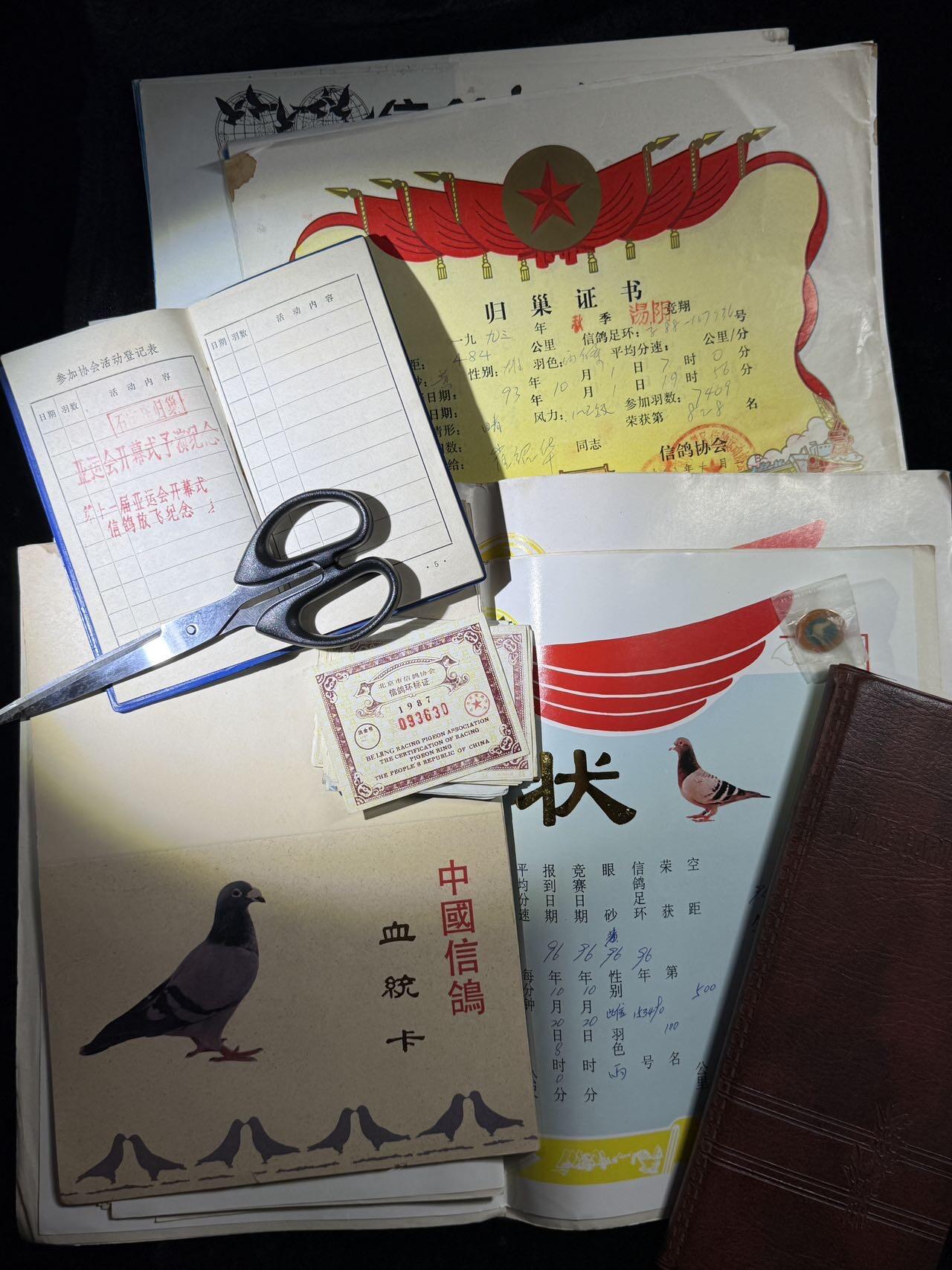 戎马世界章牌大赏，第112期