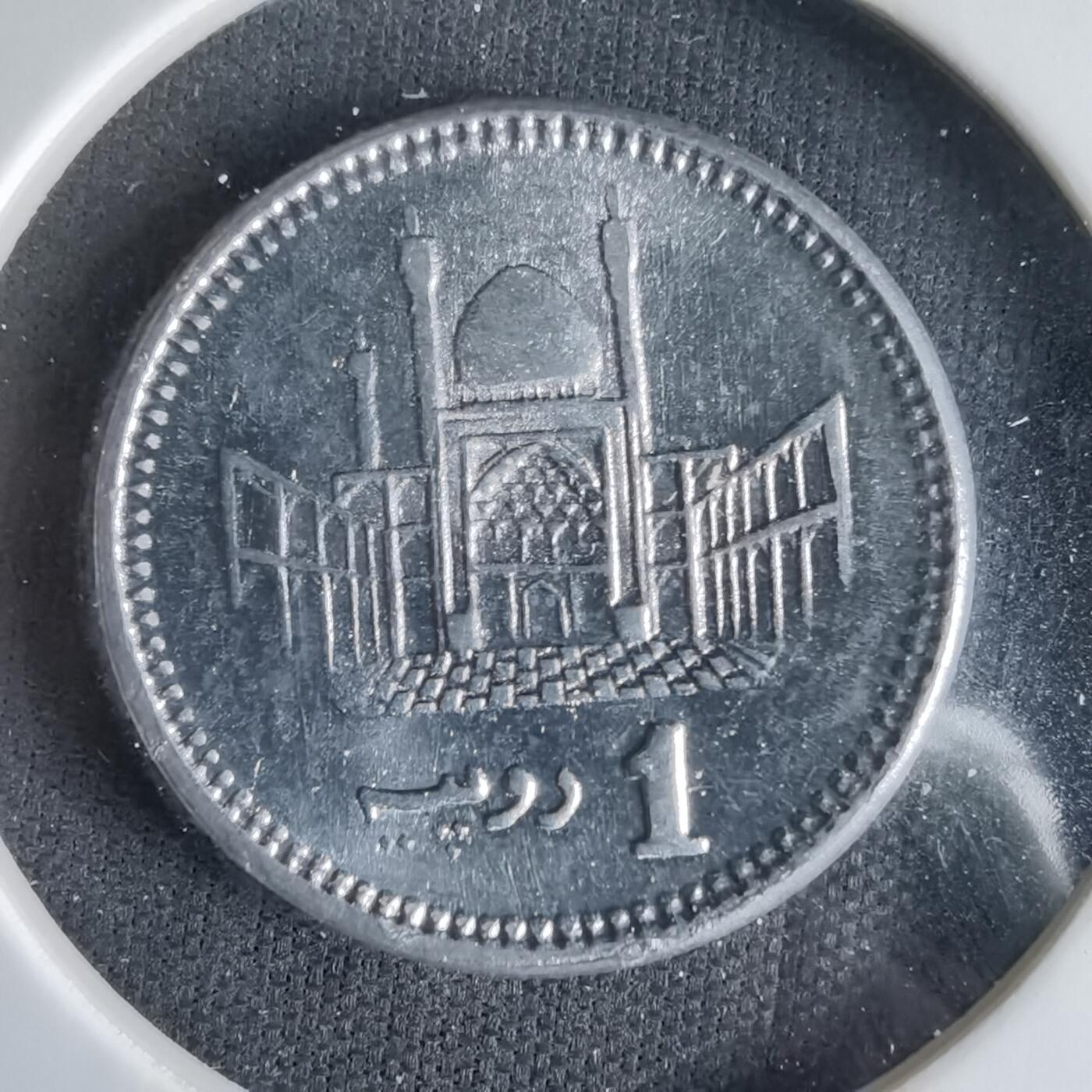 沼泽如烟--第1033场