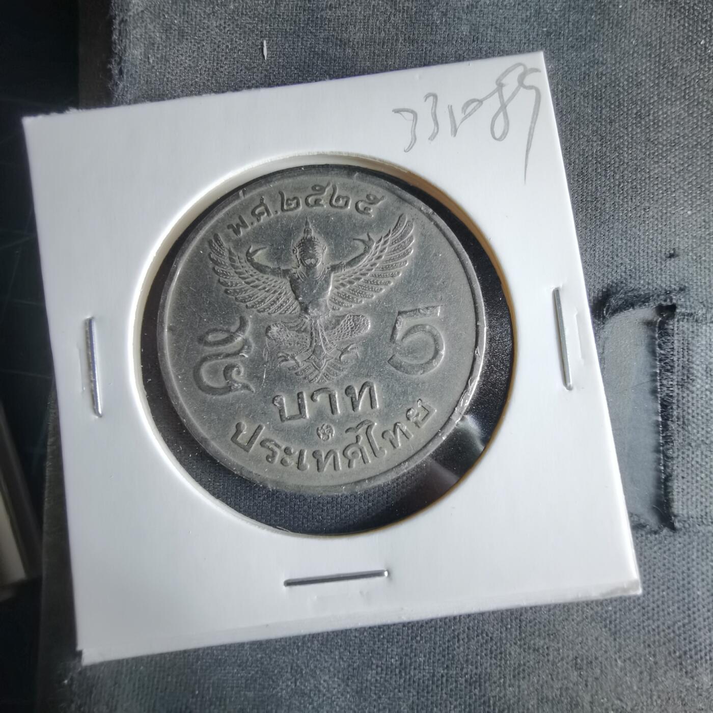 沼泽如烟--第1033场 泰国