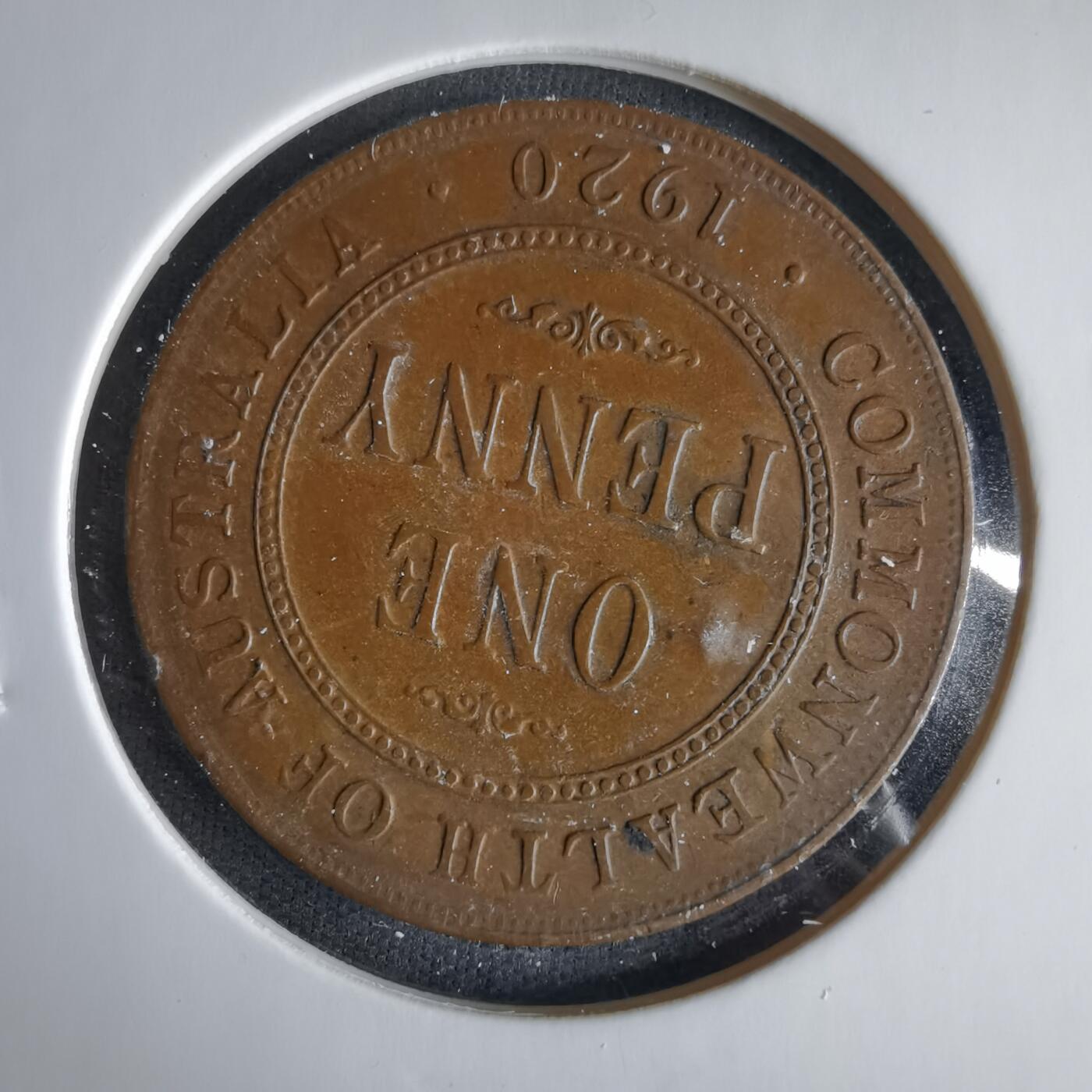 沼泽如烟--第1033场