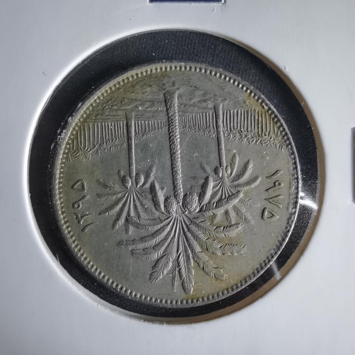 沼泽如烟--第1033场 伊拉克