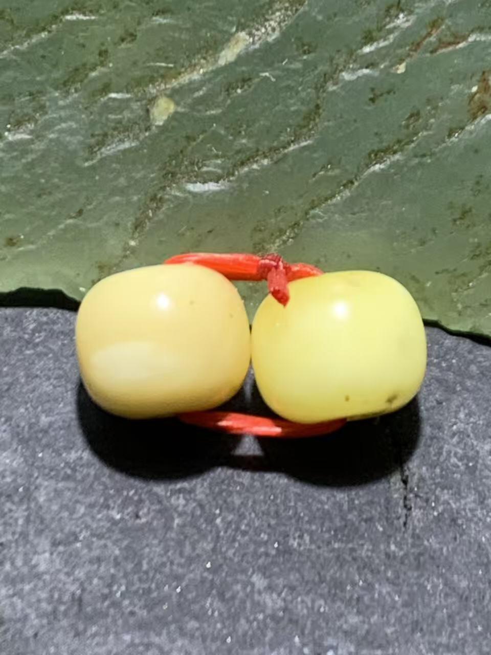 天然俄料原矿蜜蜡小尺寸老形桶珠腰珠两颗