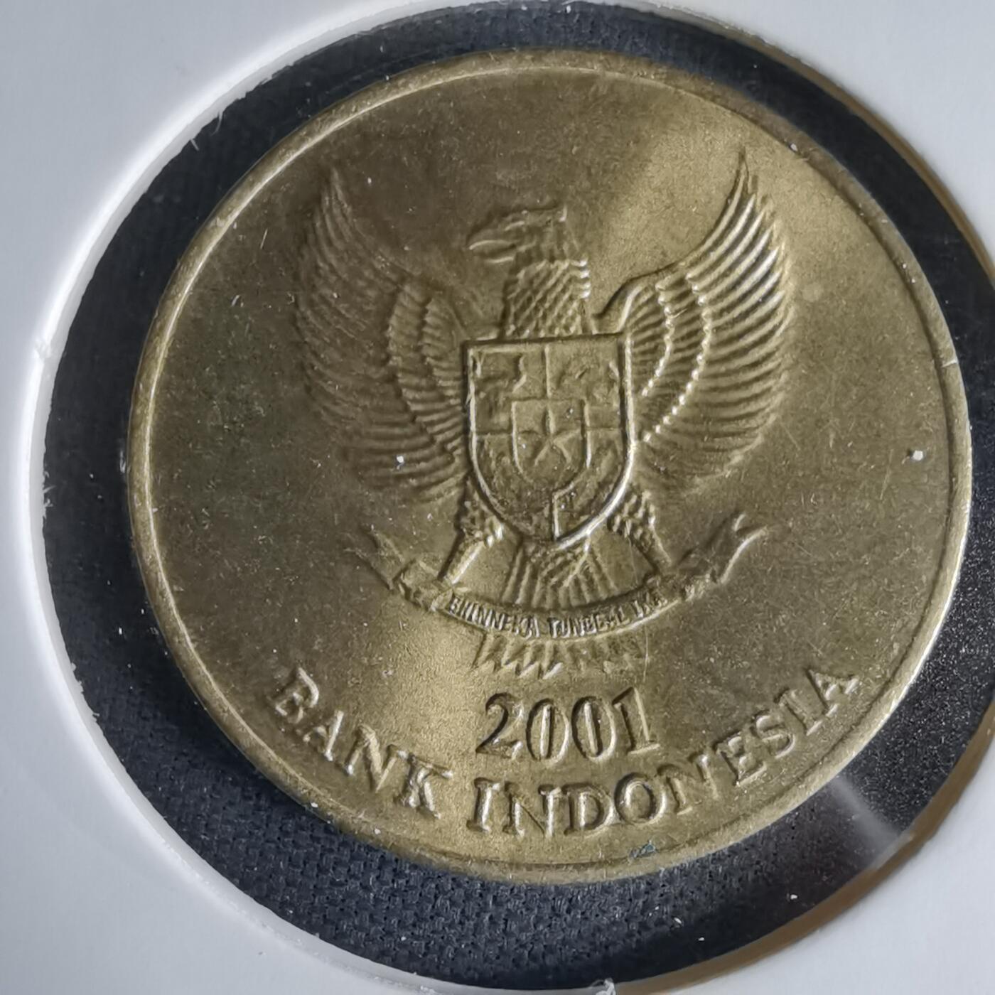 沼泽如烟--第1033场