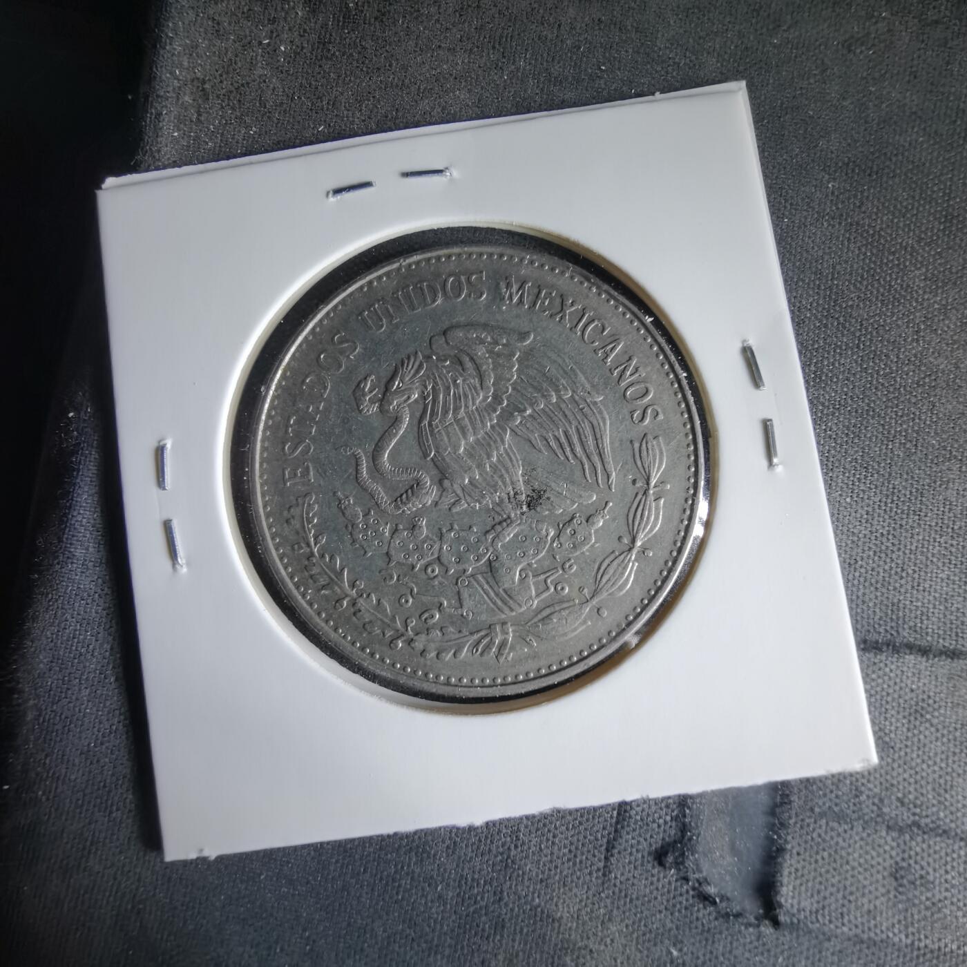 沼泽如烟--第1033场