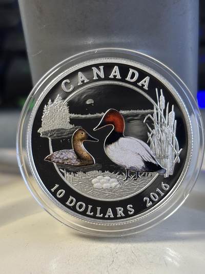 第195期拍卖 - 加拿大2016年野鸭系列Canvasback半盎司彩色银币，9999银，15.87克，发行10000枚