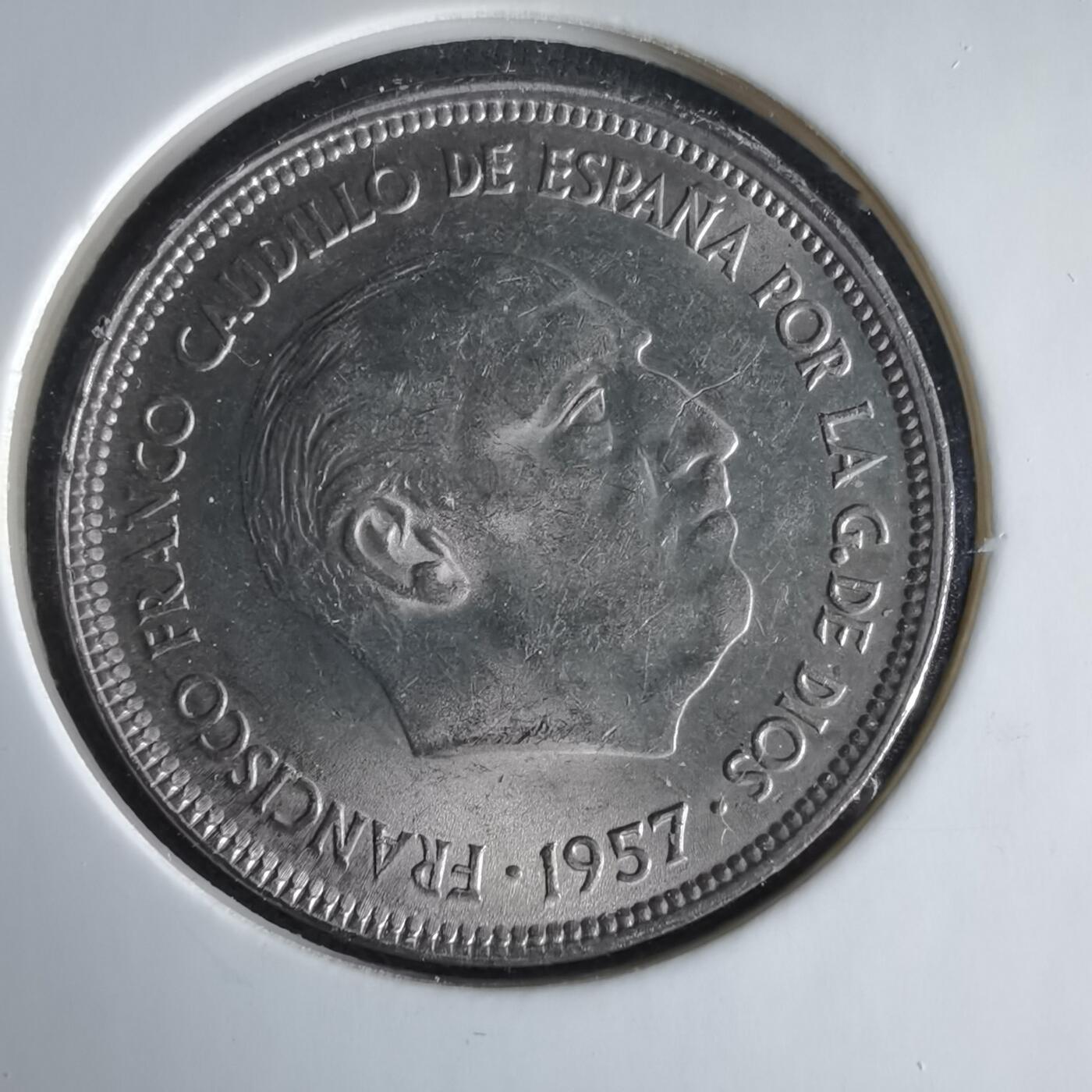 沼泽如烟--第1033场