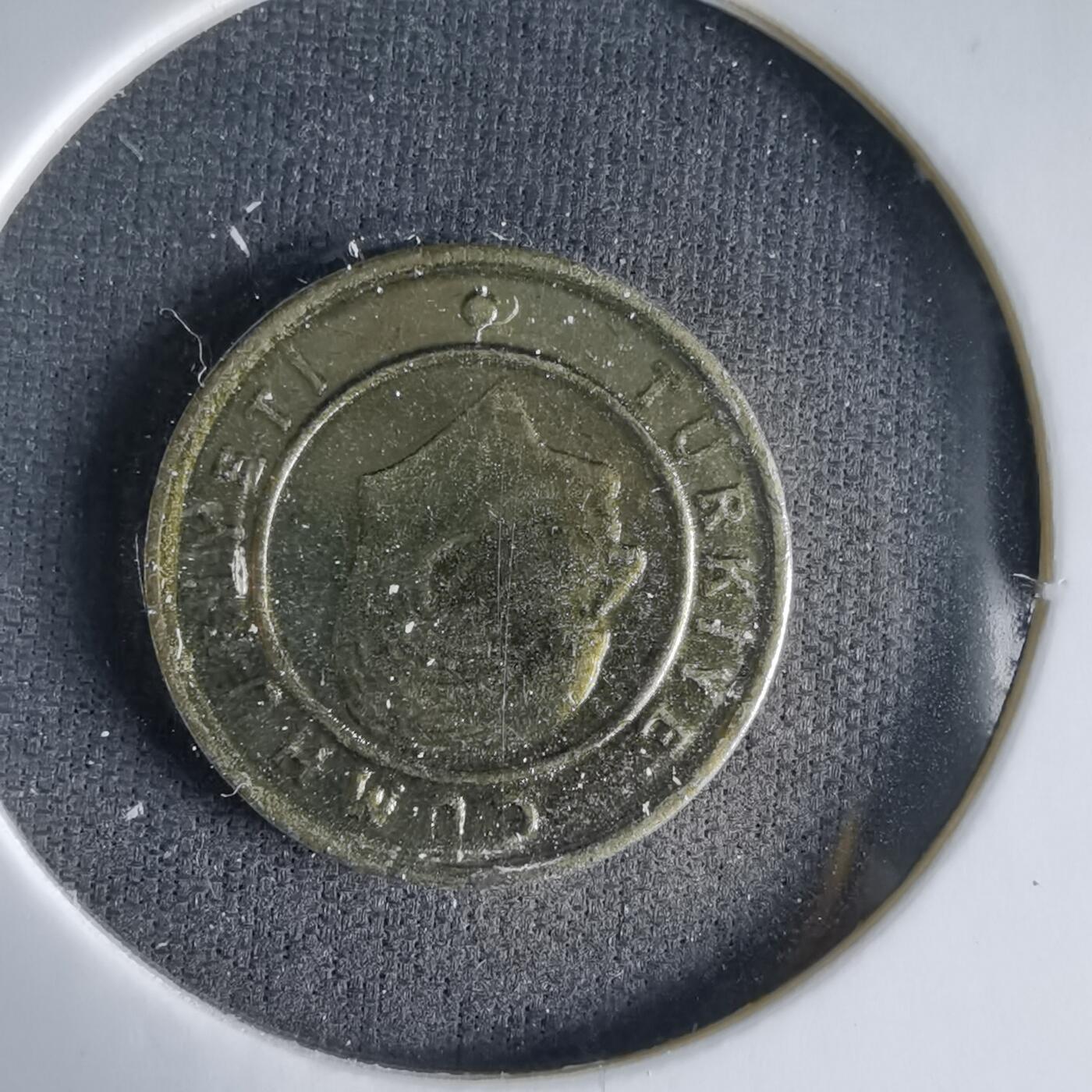 沼泽如烟--第1033场