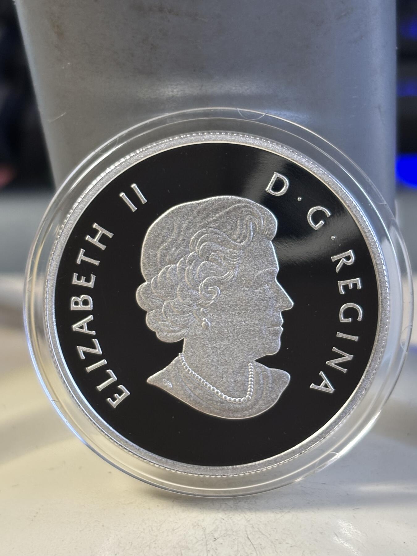 第195期拍卖 加拿大2016年野鸭系列Canvasback半盎司彩色银币，9999银，15.87克，发行10000枚